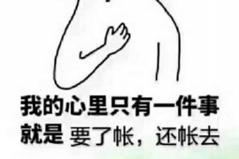鹤山催账公司电话号码查询：高效解决欠款难题
