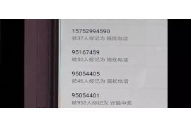 银行催收上门怎么应对电话：应对策略与技巧详解