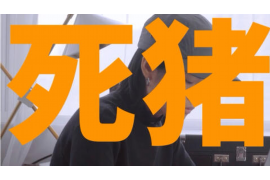 邵东收账公司电话号码查询：高效解决欠款难题